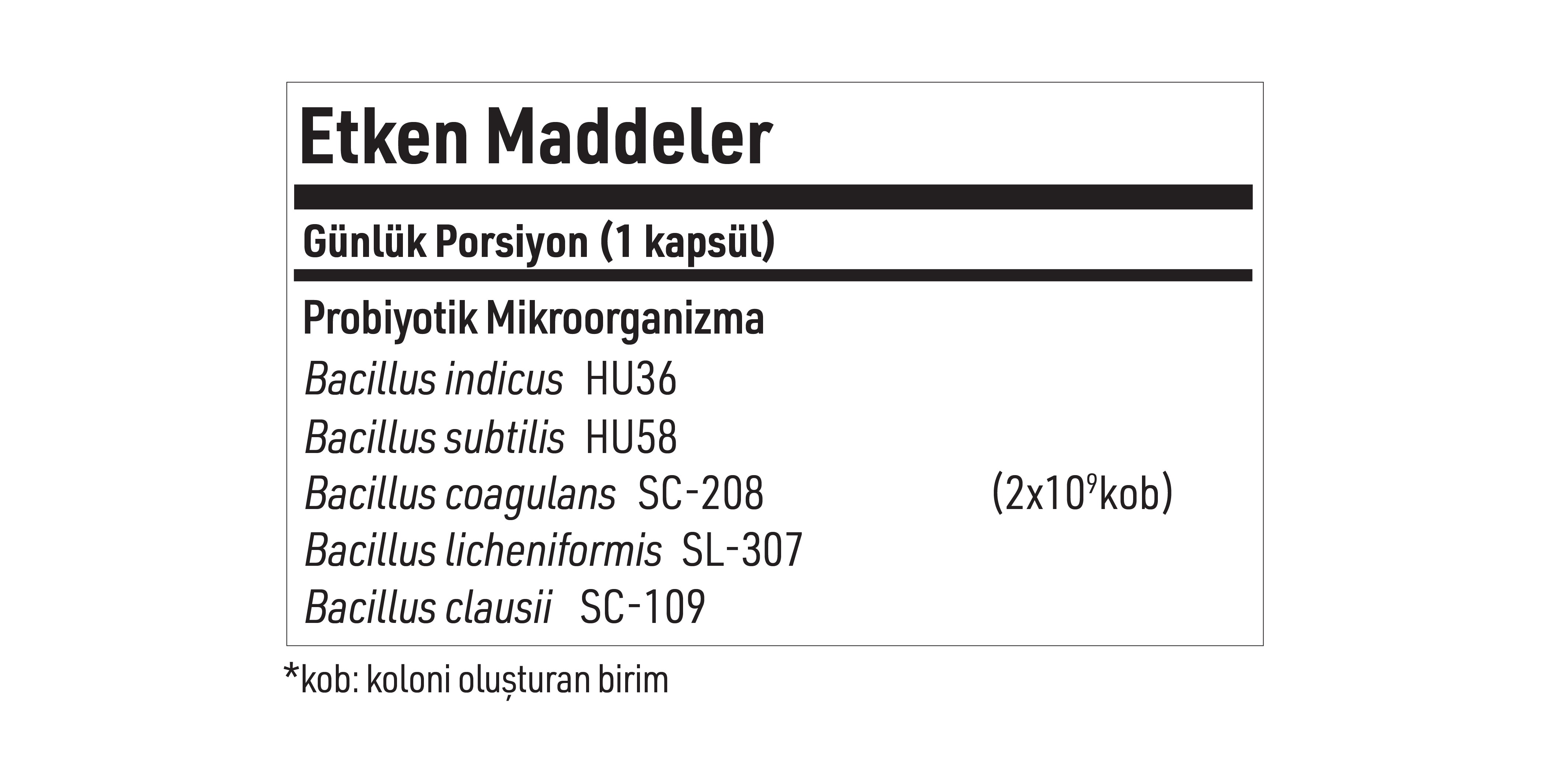 Probiyotik | MegaSporeBiotic™